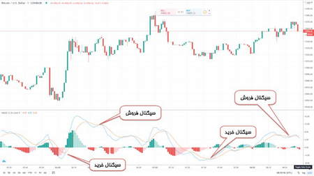 روش اسکالپ (Scalp) در فارکس